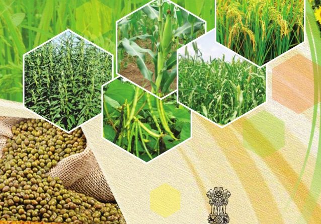 Department Of Agriculture Cooperation And Farmers Welfare Releases 1st Advance Estimates Of 